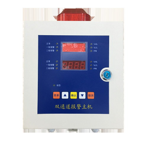 Double Gas Detector Controller With Data Storage Function To Monitor Two Gas