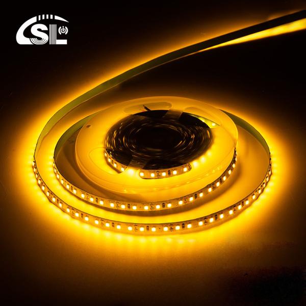 12v24v 8mm 6500K White Electroplate Flexible SMD2835 Led Strip Light for Your Benefit