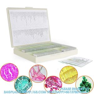 Buy cheap Microscope Slides With Specimens For Kids, Prepared Microscope Slides Plants Animals Insects, Microscope Slides from wholesalers