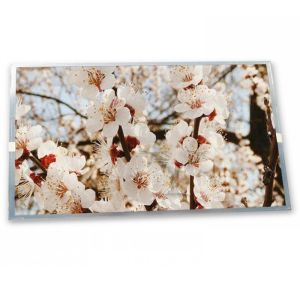 Buy cheap High-Resolution 9.2-Inch stock Compatible WLED LCD Display Module Durable Aerospace Grade 640*480 ODM AA090TA01 LCD Modules from wholesalers