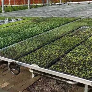 Buy cheap Vegetables Ebb And Flow Tray Seeding Bed Greenhouse Rolling Benches from wholesalers