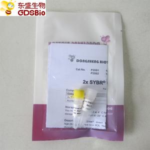 China Real Time SYBR Green Master Mix QPCR P2092 Colourless Appearance on sale