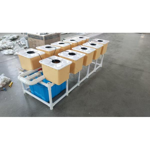  Dutch Bucket Planting Set