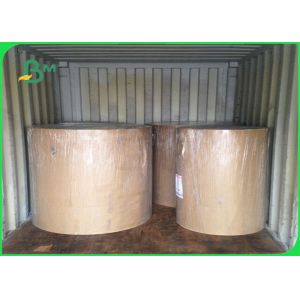 FSC & EU CCNB Paper 300 / 400gsm In Rolls As Pack Material 900mm 1220mm