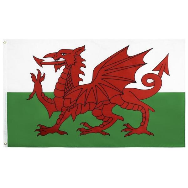 Quality SGS Square Base England Wales Rectangle Banner Flags for sale