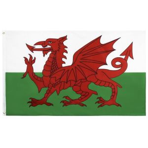 Buy cheap SGS Square Base England Wales Rectangle Banner Flags from wholesalers