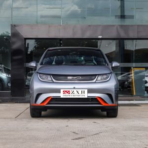 B YD Dolphin The 5 passenger hatchback electric with a great price is used for a