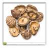 Buy cheap Dried mushroom, ediable mushroom , Dried Agaricus campestris,Dried Shiitake Mushroom from wholesalers
