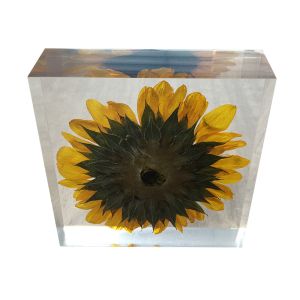 Buy cheap cubic Acrylic resin paper weight with custom embedding inside from wholesalers
