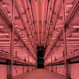 Buy cheap Ventilation fan 40ft Container Greenhouse for Advanced Plant Growth from wholesalers