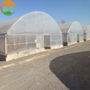 Buy cheap High Output Attractive Single Span Greenhouse With Stable Structure product