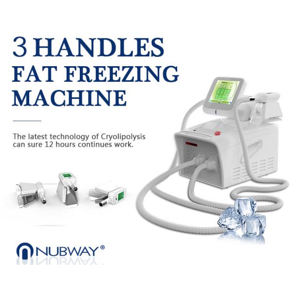 Buy cheap professional cryolipolysis fat freezing machine home device fat freeze with ce&ISO 2 cyo handles can work at same time from wholesalers