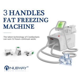 Buy cheap professional cryolipolysis fat freezing machine home device fat freeze with ce&ISO 2 cyo handles can work at same time from wholesalers