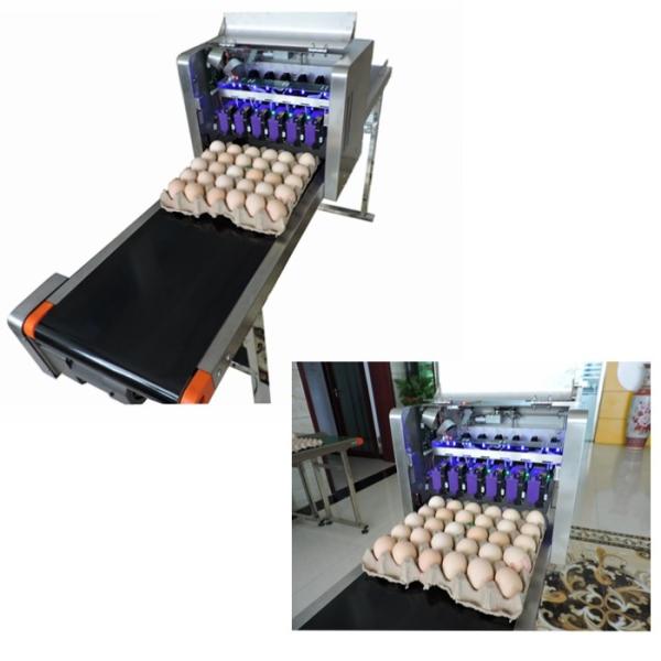 Buy cheap Automatic Egg Printing Machine For Date , Time , Serial Number from wholesalers