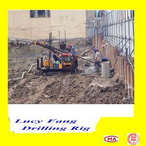 Philippine Hot Multi-function MGJ-50L Crawler Earth Auger Drilling Rig for