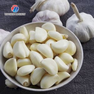 Buy cheap Garlic splitting machine minced garlic processing production Line from wholesalers
