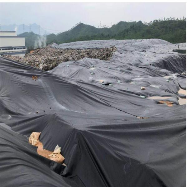 EPDM Geomembrane Liner HDPE for Good Permeability and Length 50m-100m/roll as