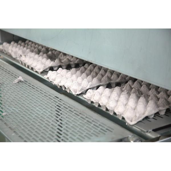 Quality Pulp Egg / Apple Fruit Tray Moulding Machine With Drying System for sale