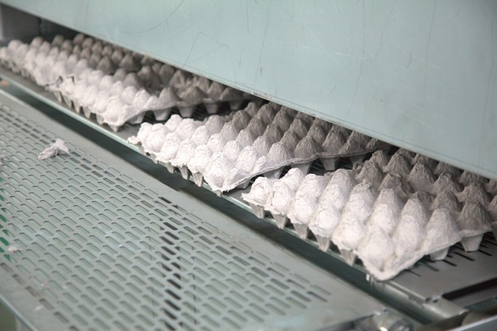 Buy cheap Pulp Egg / Apple Fruit Tray Moulding Machine With Drying System from wholesalers