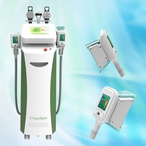 Buy cheap Fat Freeze Cryolipolysis Slimming Machine/Fat Cryolipolysis Machine from wholesalers