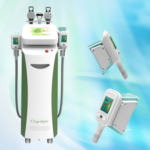 Quality Fat Freeze Cryolipolysis Slimming Machine/Fat Cryolipolysis Machine for sale