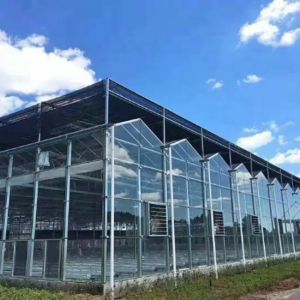 Buy cheap Smart Venlo - type glass greenhouse with top - window opening system and fertilization system from wholesalers
