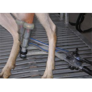 Buy cheap HL-G01 Dairy Farming 2x12 Goat Milking Parlor System with 6L Glass Milk Jar from wholesalers