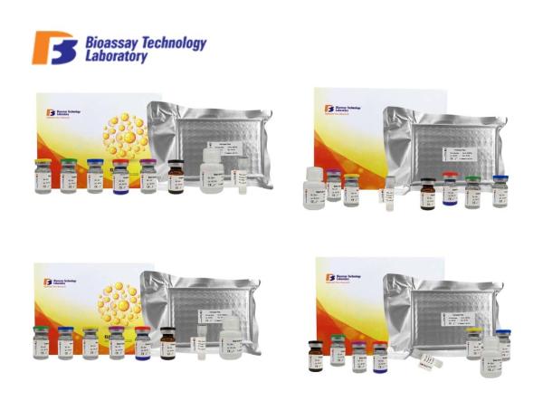Buy cheap Rat Fbg ELISA Test Kit Fibrinogen Immunoassays Test Kit With High Sensitivity and Specificity from wholesalers