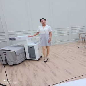 Bone Penetrating Physiotherapy Moxibustion Instrument Open Fire Smokeless