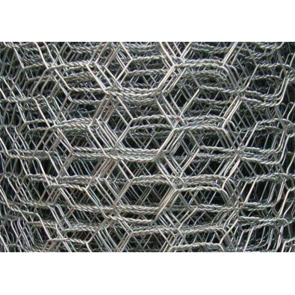 Quality 2mm 25m Garden Rabbit Chicken Wire Mesh Roll Coop Welded Wire PVC Coated for sale