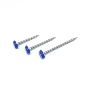 Buy cheap 40mm SUS316 Ring Shank Plastic Cap Nails For Fixing Fascia And Soffit product