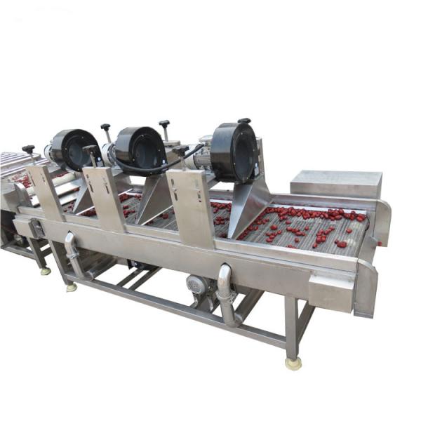 Buy cheap Industrial Commercial Fruit Vegetable Processing Machine For Slicing Fruit from wholesalers