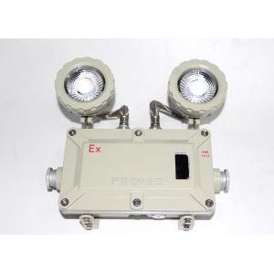 Buy cheap ExdeⅡCT6 Gb/Ex TD A21 IP66 T80C Explosion Proof Emergency Lights for Harsh Conditions from wholesalers