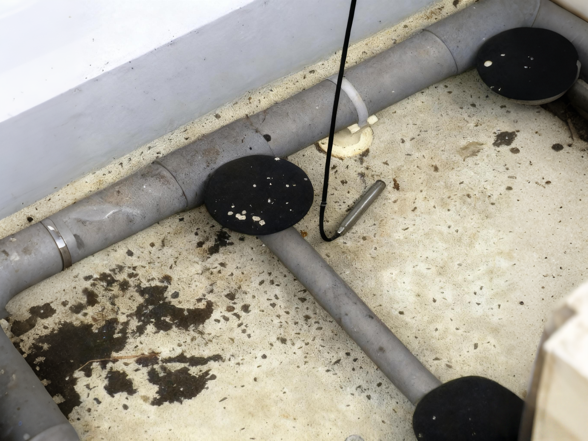 Buy cheap ABS Fine Bubble Membrane Diffuser PTFE Coated EPDM Bubble Disc Diffuser from wholesalers