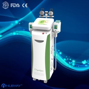 Buy cheap Most advanced cellulite technology 5 handles cryolipolysis slimming machine from wholesalers