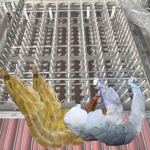 Buy cheap Flexible Prawn Deshelling Machine , Industrial Automatic Shrimp Peeler And Deveiner from wholesalers