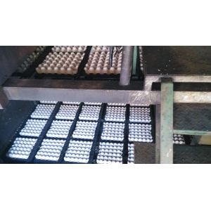High Efficiency Pulp Egg Tray Machine Fully Automatic Rotary