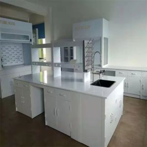Buy cheap Durable Chemistry Lab Furniture Customizable and Long Lasting from wholesalers