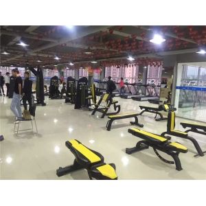 Befreeman Factory Direct Price Gym Fitness Equipment Adjustable Decline Bench