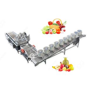 Automatic Fruit And Vegetable Washer Fruit And Vegetable Washing Processing