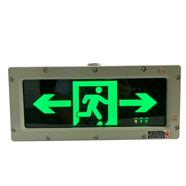 Quality Wall Mounted 3W 120 180 Mins Emergency Escape Light Custom Colors LED Indicators Surface Can Be Customised for Zone 1 and Zone 2 for sale