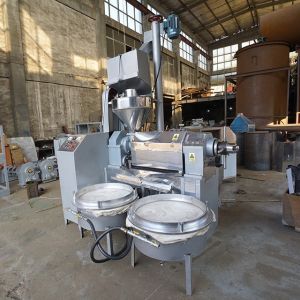 Buy cheap Avocado Edible Oil Press Machine , Sunflower Oil Press Machine Integrated from wholesalers