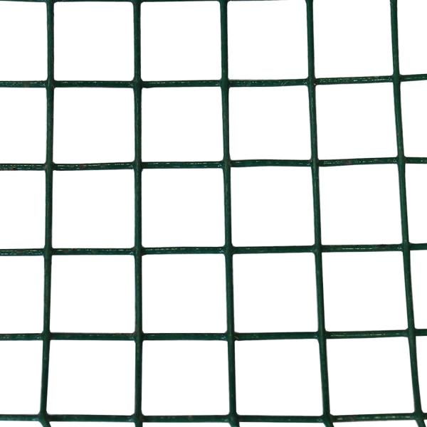 Quality Special Design Widely Used 1/4"x 1/4" Hot Dipped Galvanized Welded Wire Mesh Roll for sale