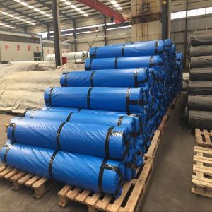 Black Cement Pavement Ground Stabilisation Mesh Fiberglass