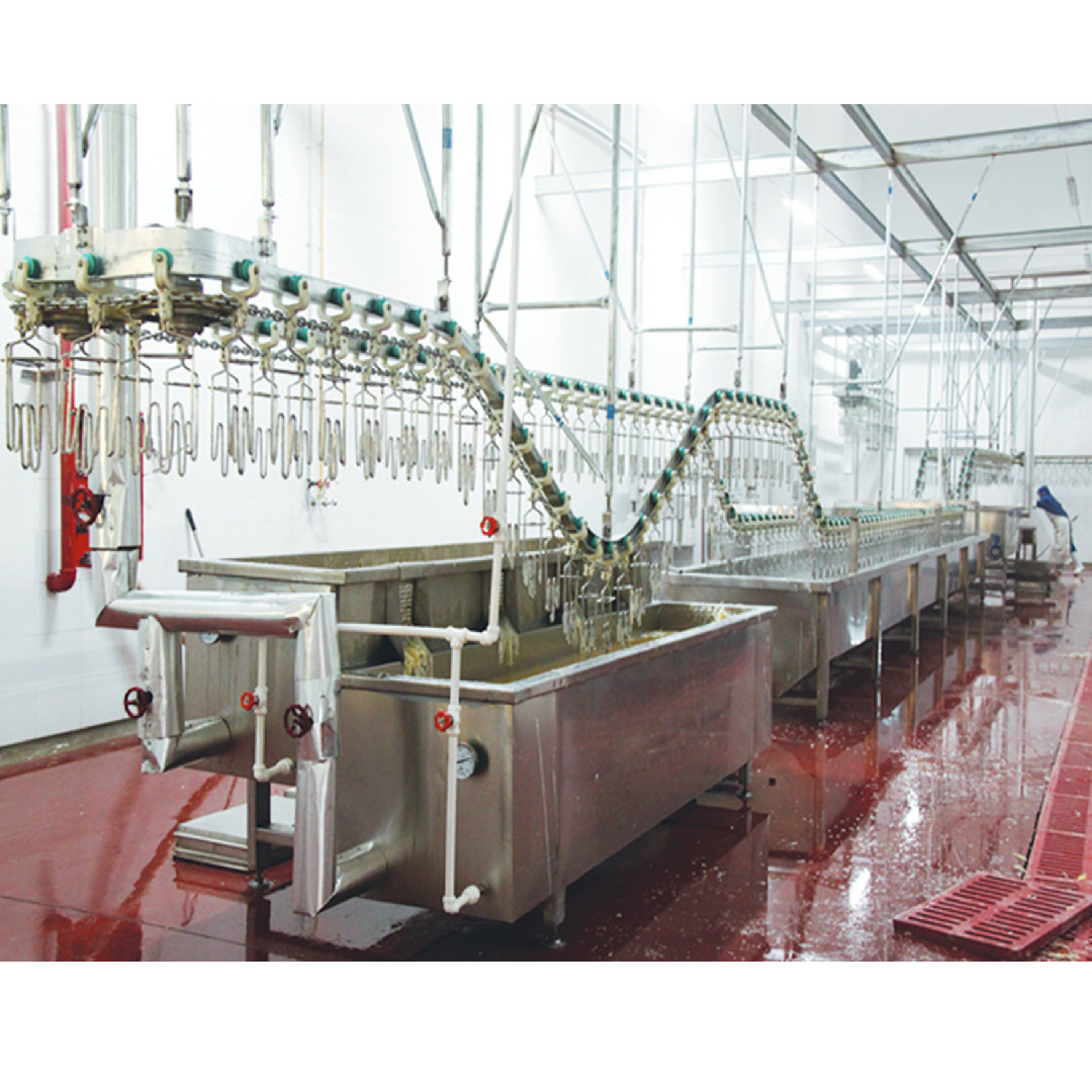 Buy cheap Chicken Duck Automatic Slaughter Equipment For Poultry Slaughterhouse from wholesalers