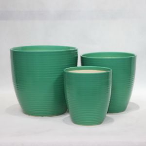 Stunning Plant Display With Our Ceramic Pots Various Sizes Available Ceramic