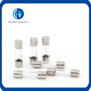 5mm 10a 250v Glass Fuse High Stability Fuse link For Automotive Electronic