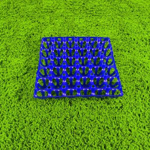 Buy cheap Colorful Egg Storage Tray With Eco Friendly Carton Packaging For Agriculture Industry from wholesalers