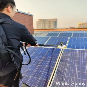 Buy cheap Single-Head Spin Brush Solar Panel Cleaner with 7.5m Water Fed Pole and Lithium Battery from wholesalers