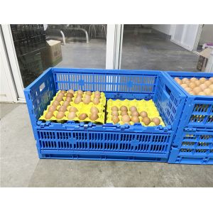 Buy cheap Stackable Mesh Plastic Crate for Industrial Vegetable and Fruit Storange Solution from wholesalers